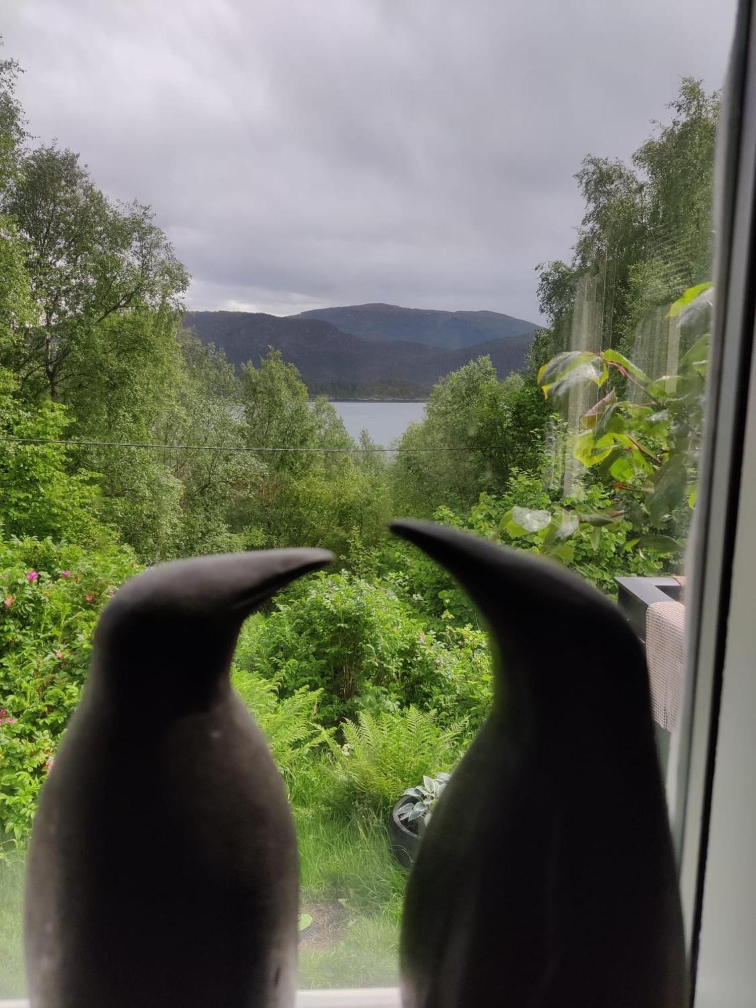 Fjord Peace Villa Skodje Exterior photo